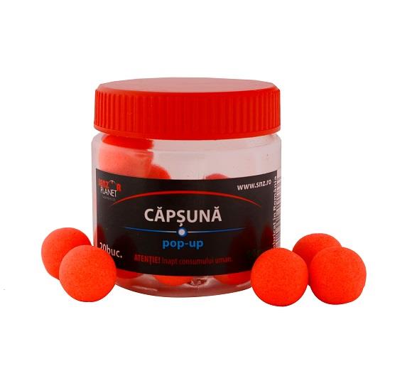 POP-UP-URI 2015 - pop-up-14mm-senzor-capsuna.jpg